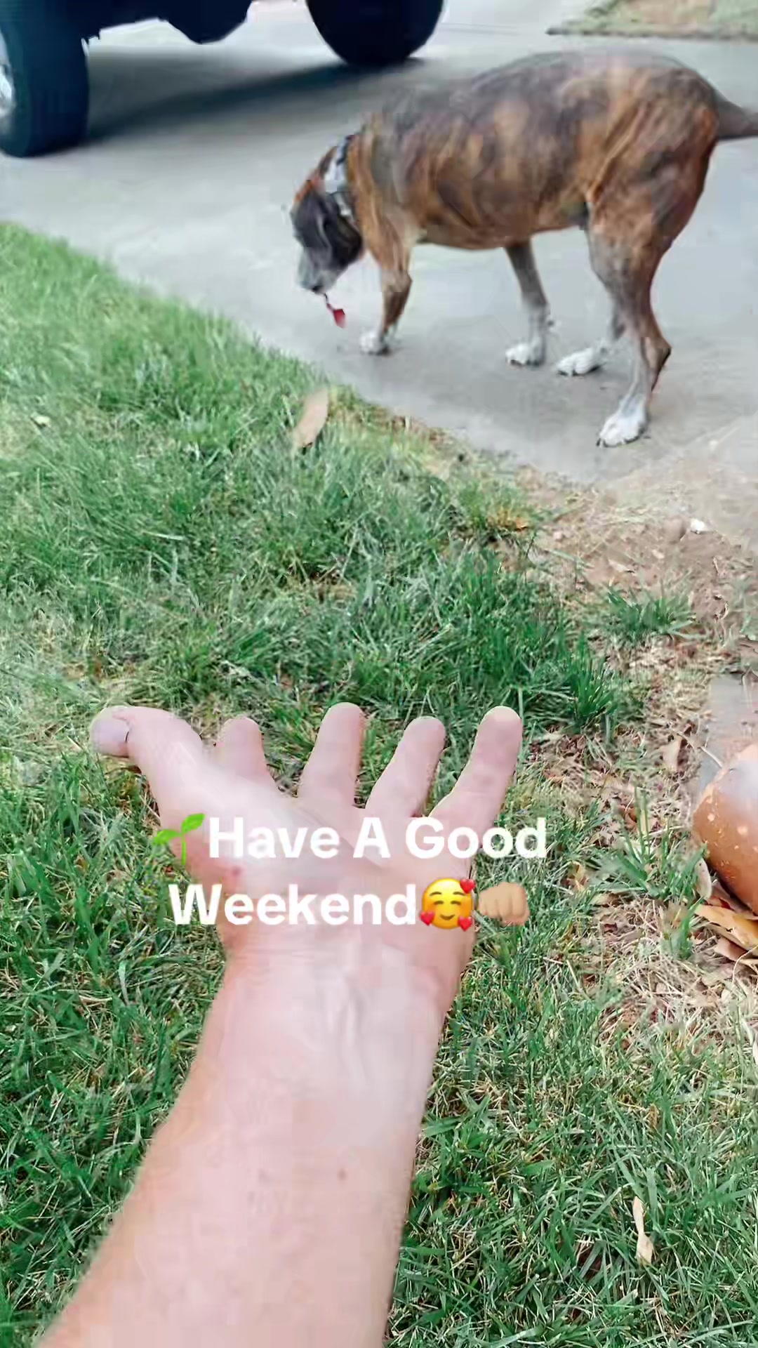 @DanielOrfield