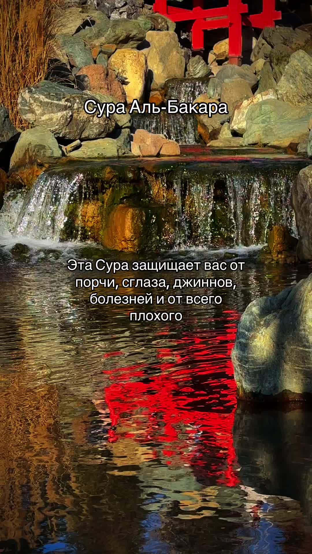 @Quran