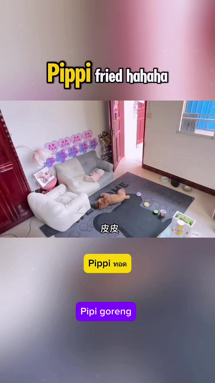 @Đức Anh bạn Của Minh n&egrave; hii