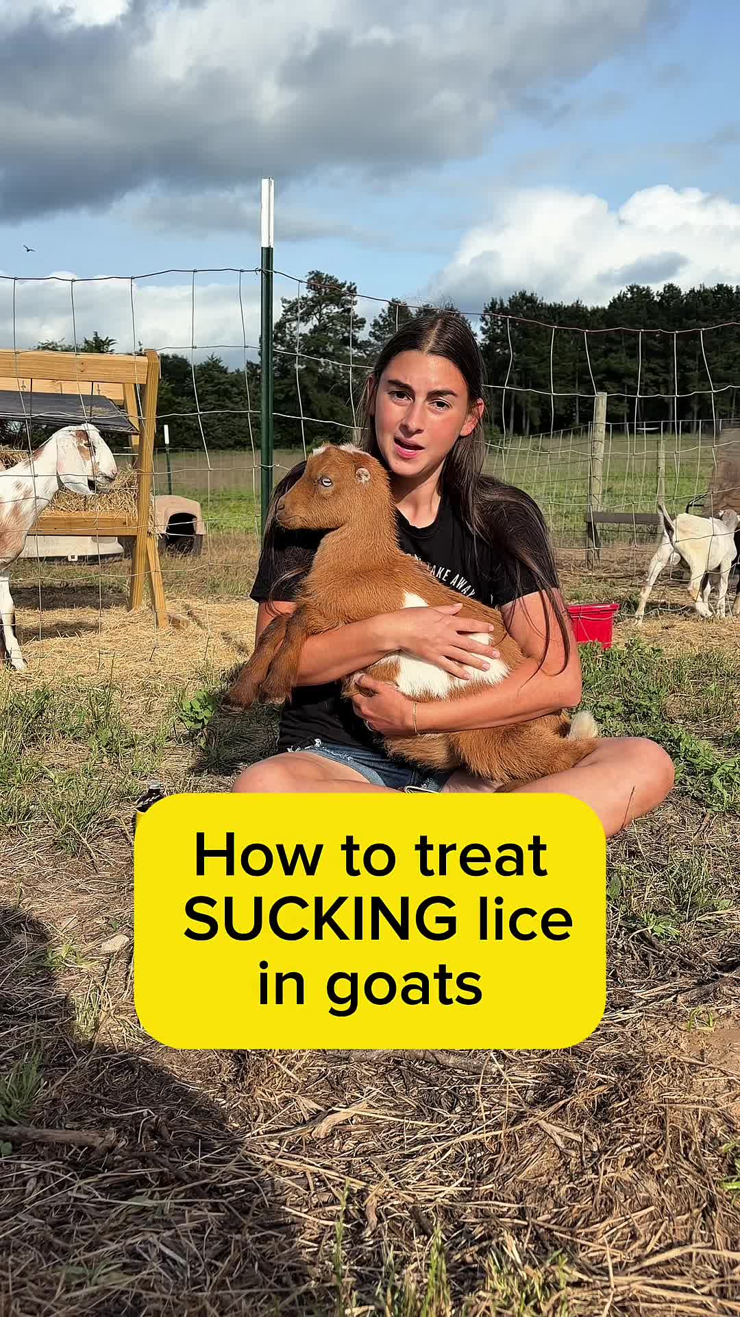 @Heart & Hoof Homestead