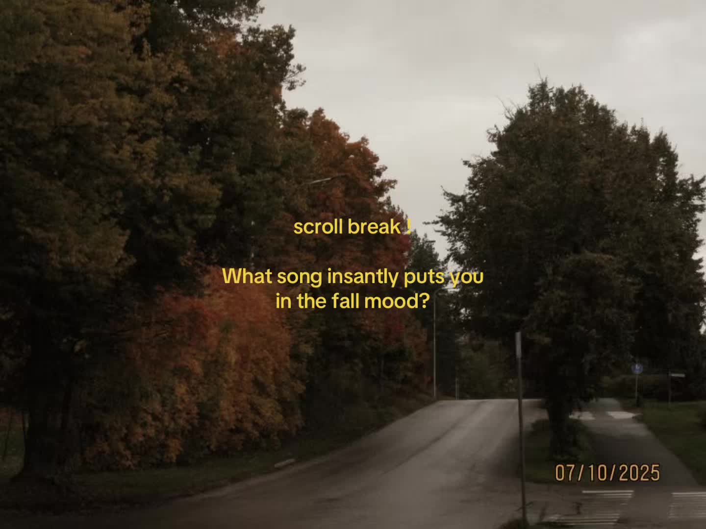 @𑣲⋆