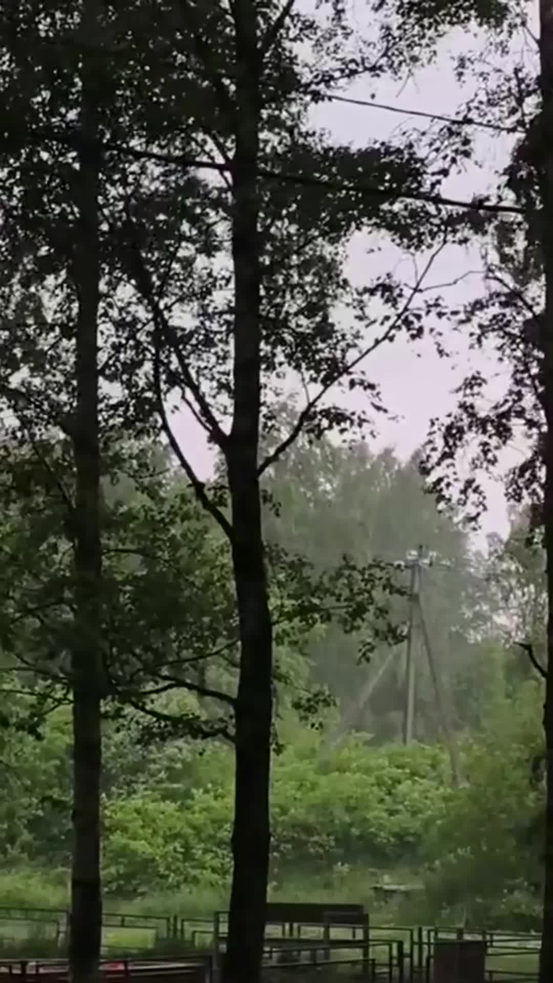 @saiiyansamlive11282040