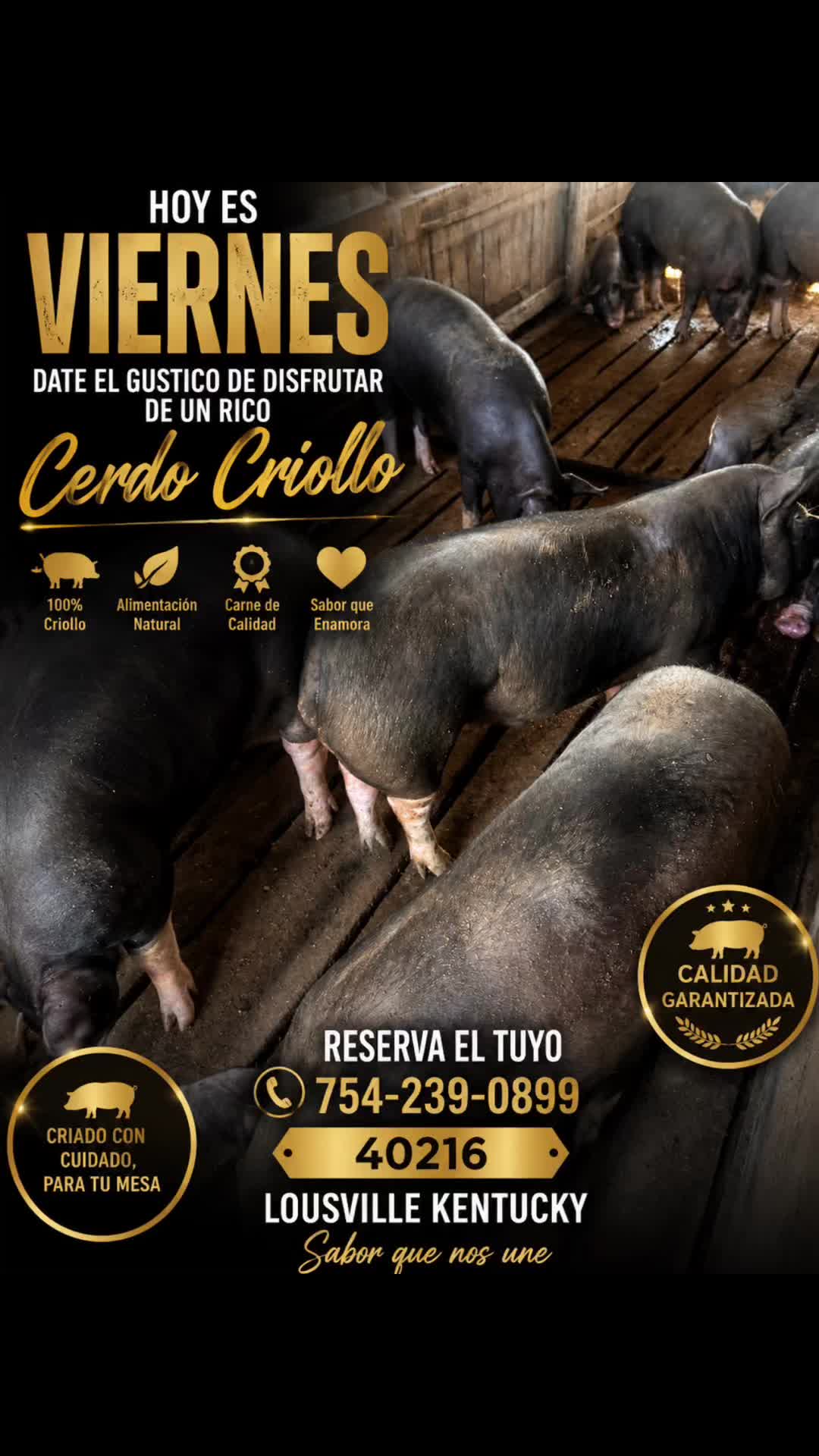 @cubanaporsiempreventas1