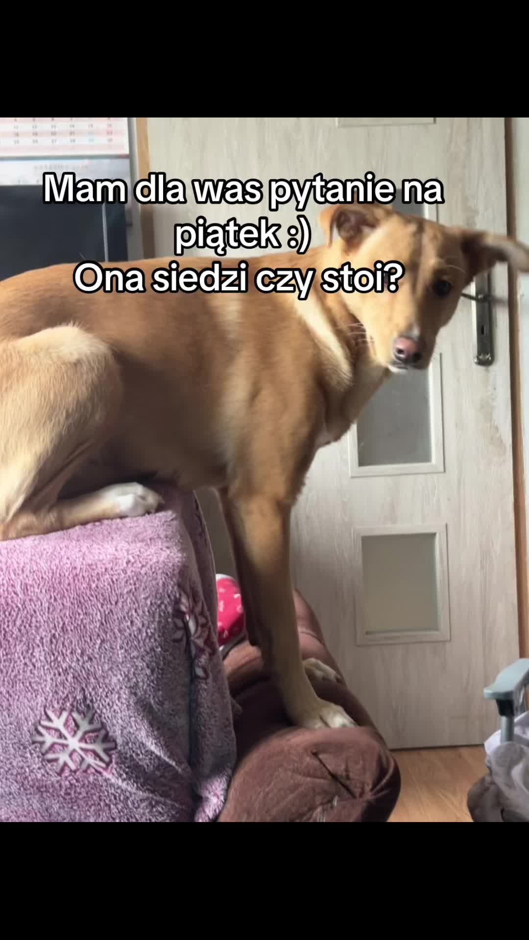 @julciaa 🫀