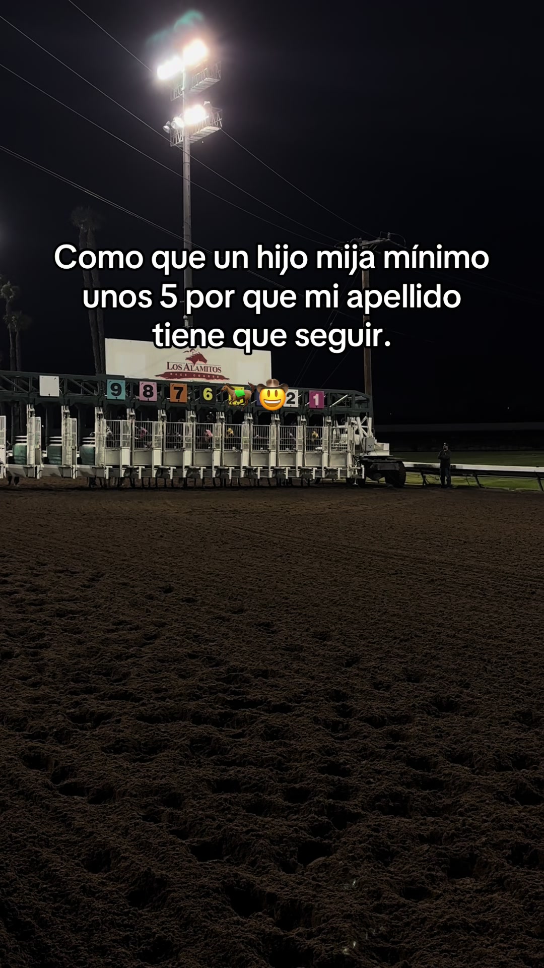 @oscar_sxt