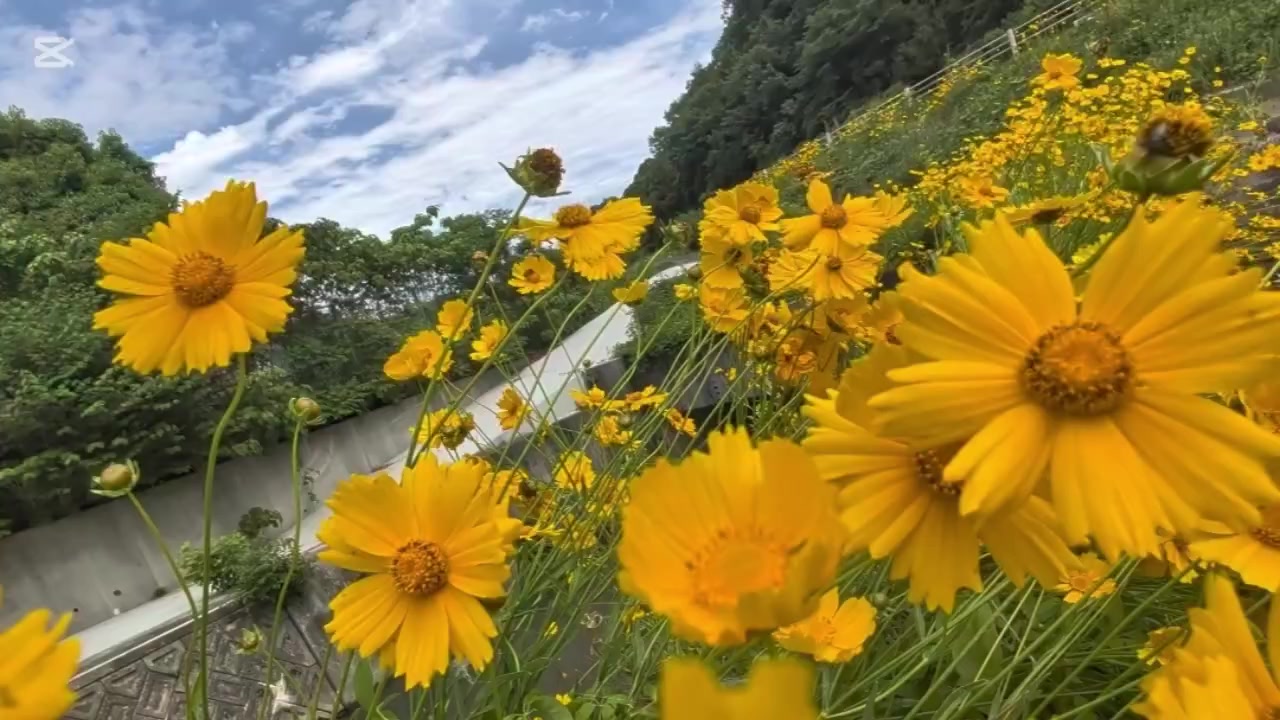@自由人