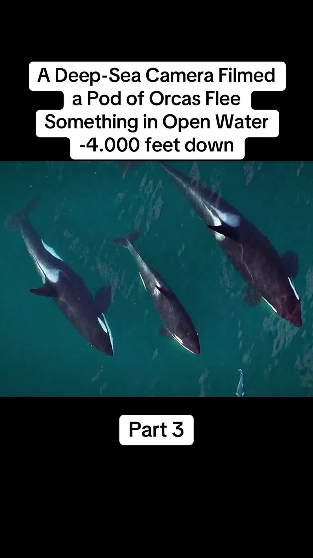 @S_Zone