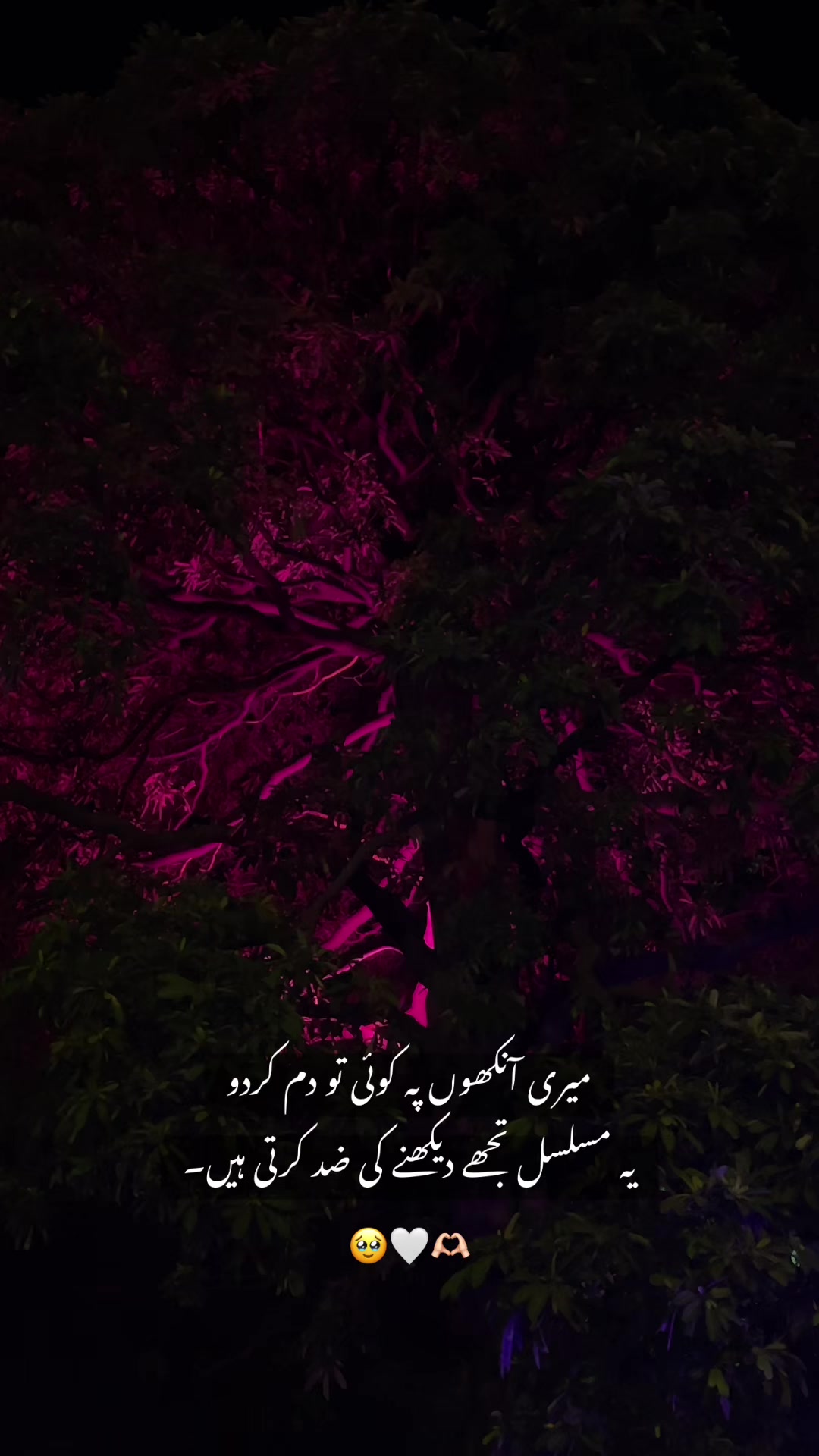 @🚩