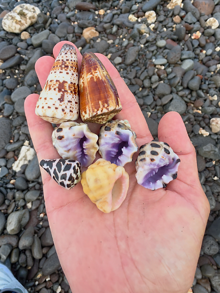 @Noe ๐ Shells
