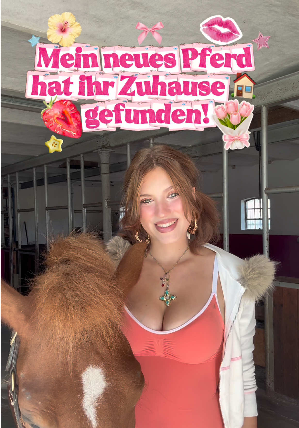 @Pferde Paradies