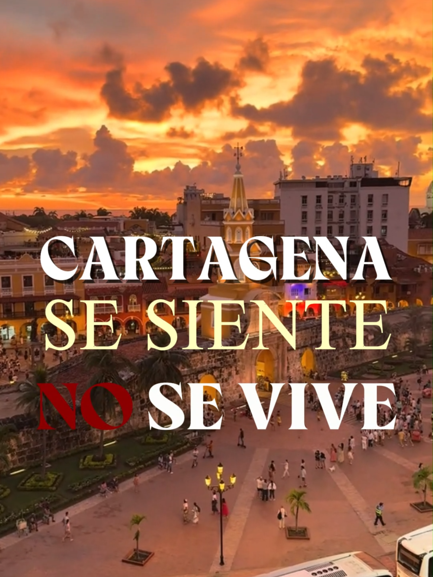 @TravelReportMX