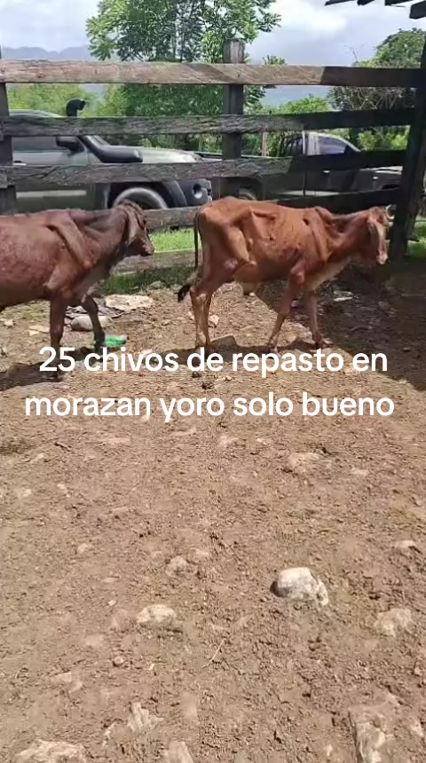 @maykel Mej&iacute;a
