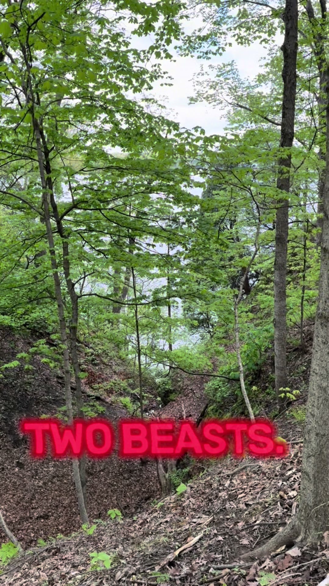 @Starved Rock State Park