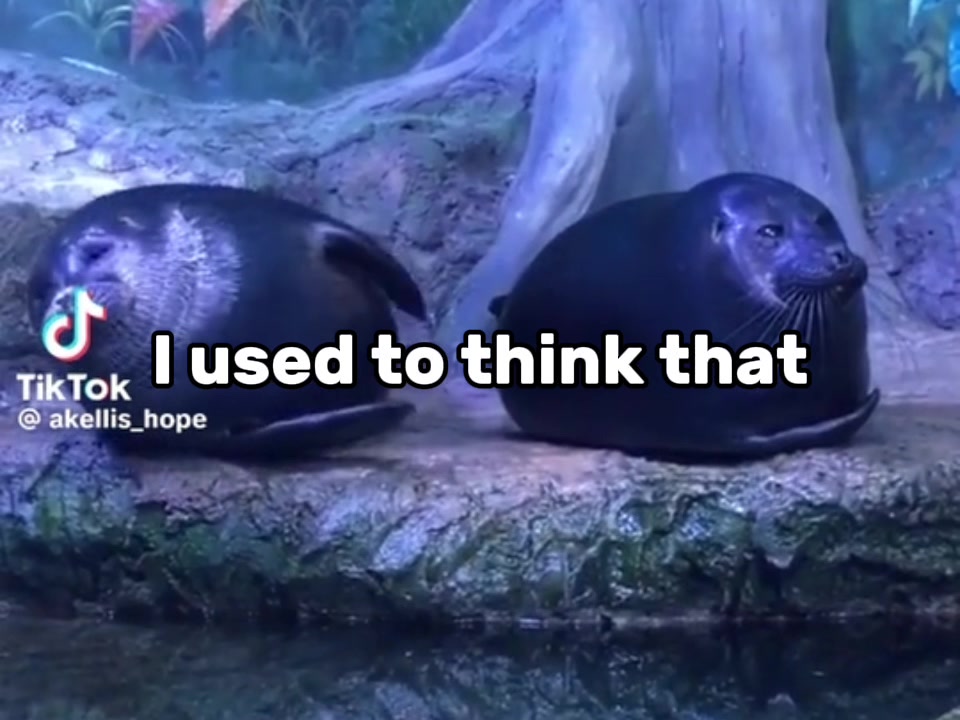 @BaikalSealHugger