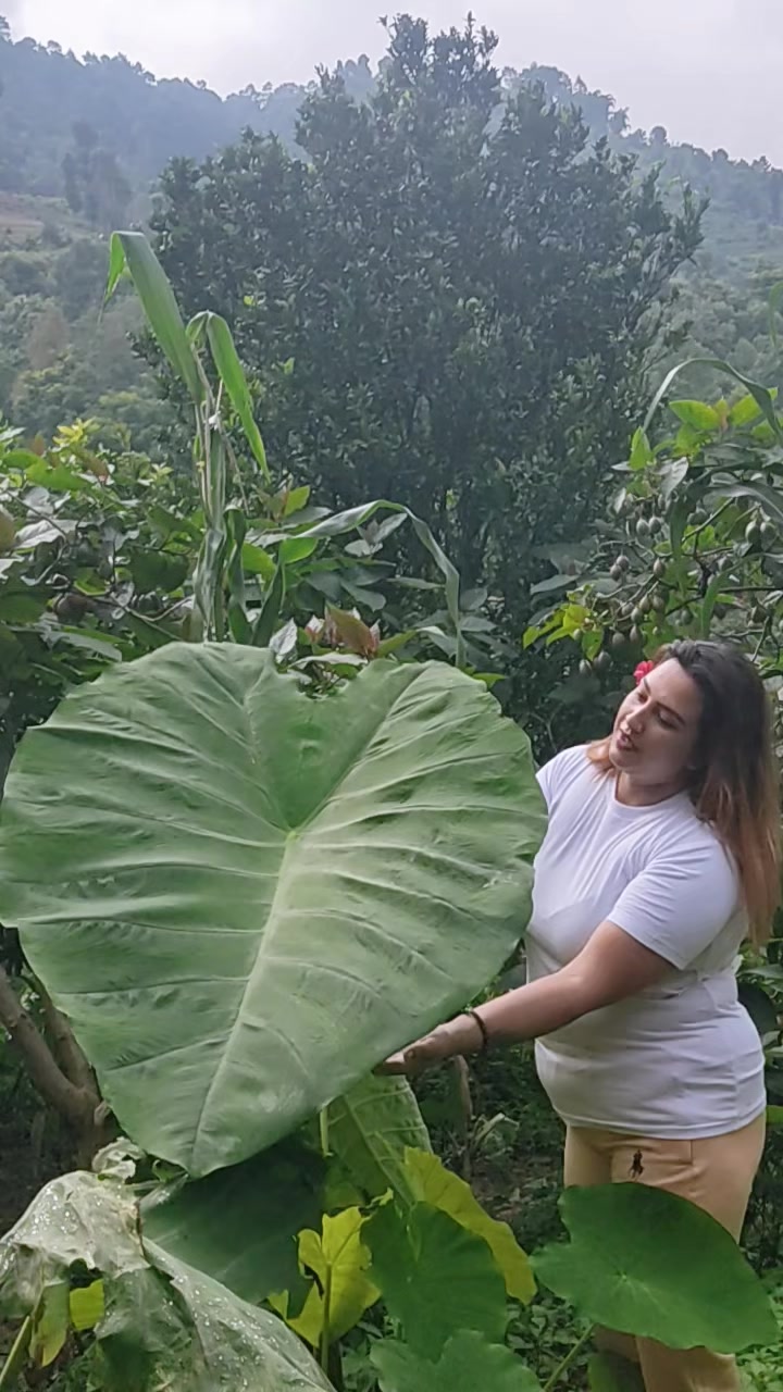 @अनिसा नेपाल