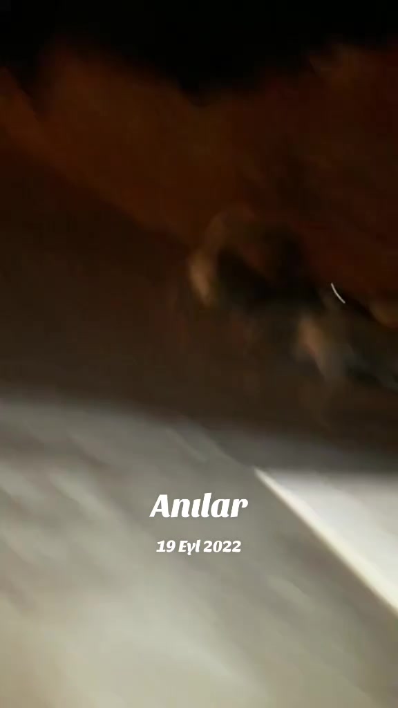@Raşit