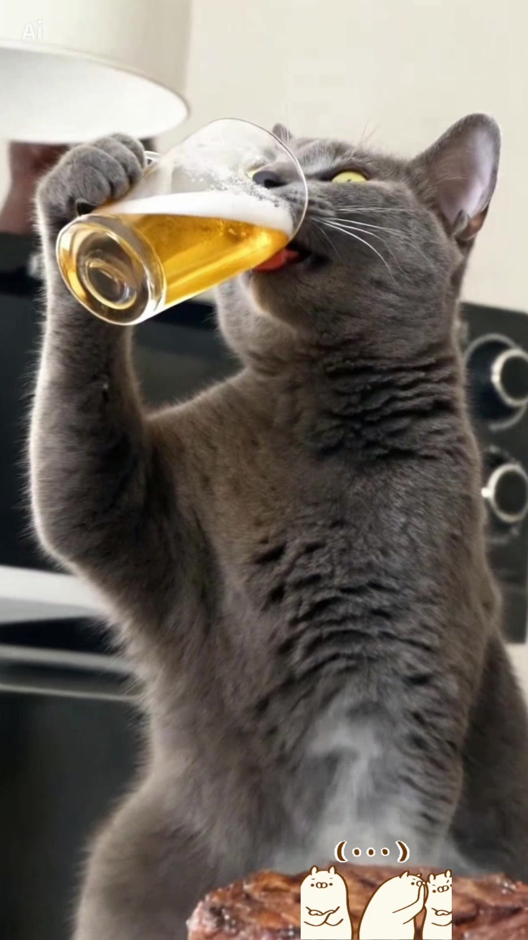 @Catcat