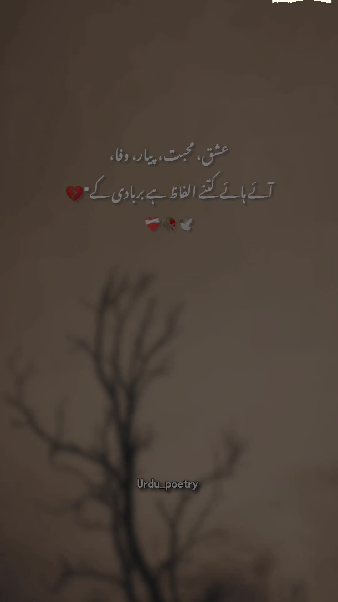 @𝐃𝐞𝐞𝐩 𝐥𝐢𝐧𝐞𝐬 ✨