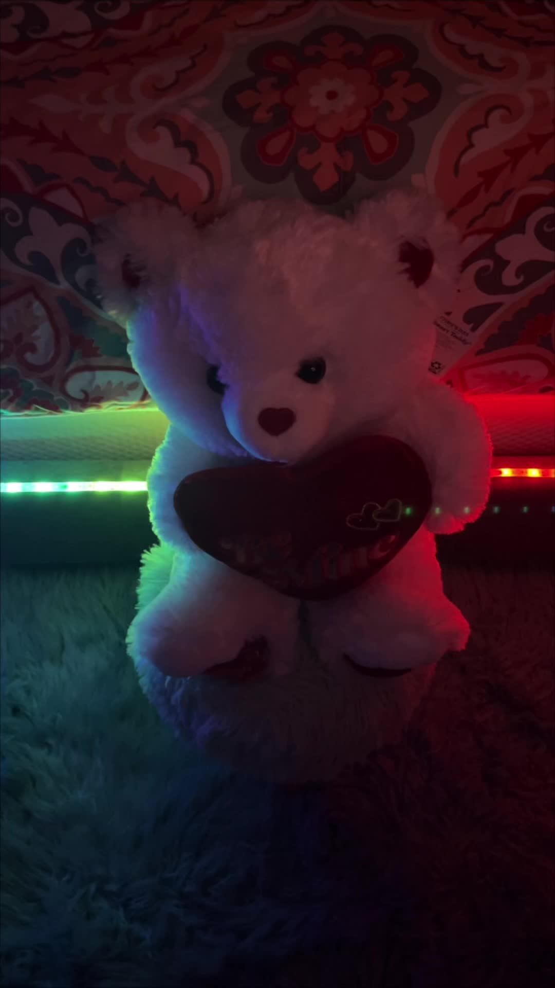 @Amy๐๐ฉ๐ผ๐ค๐ฉ๐พ๐ณ๏ธ๐