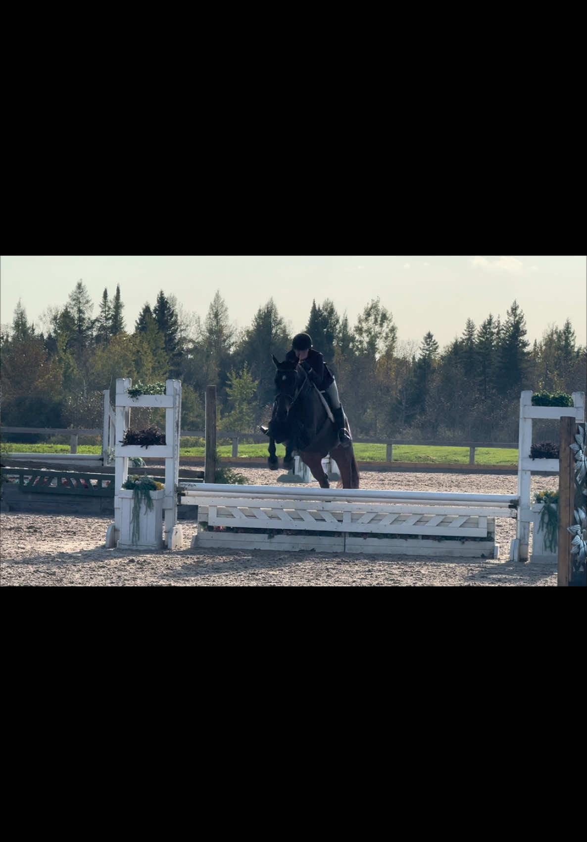 @Emily Moniz Of Valiant Eq 🫢