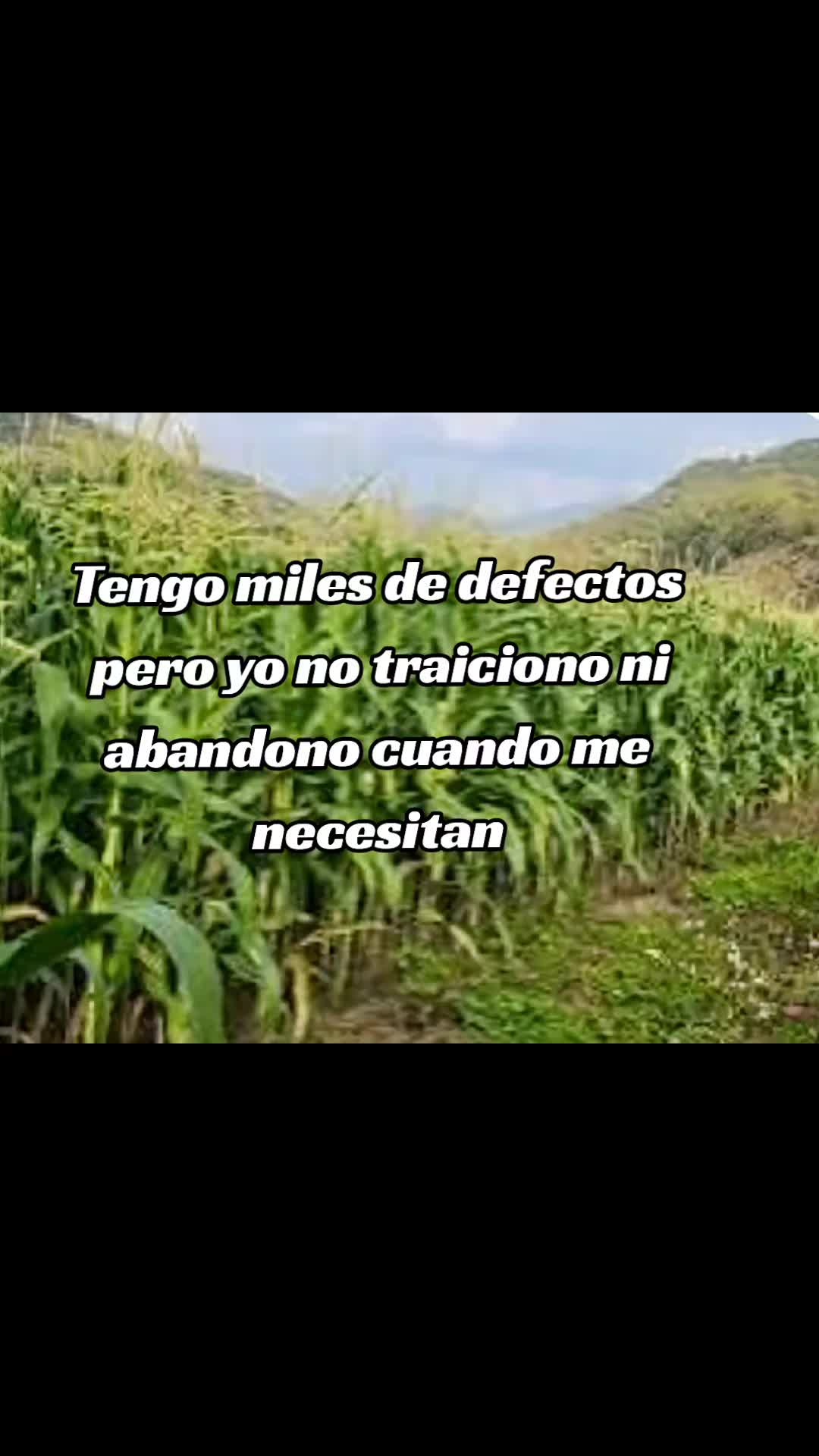 @chofis
