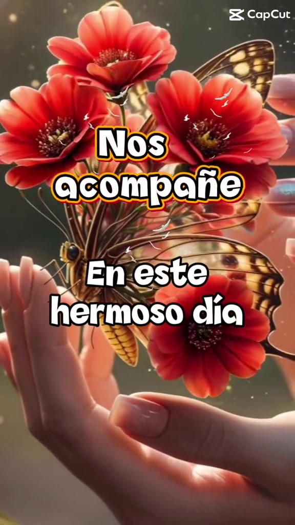 @Palomalucia_24 Cuenta Oficial