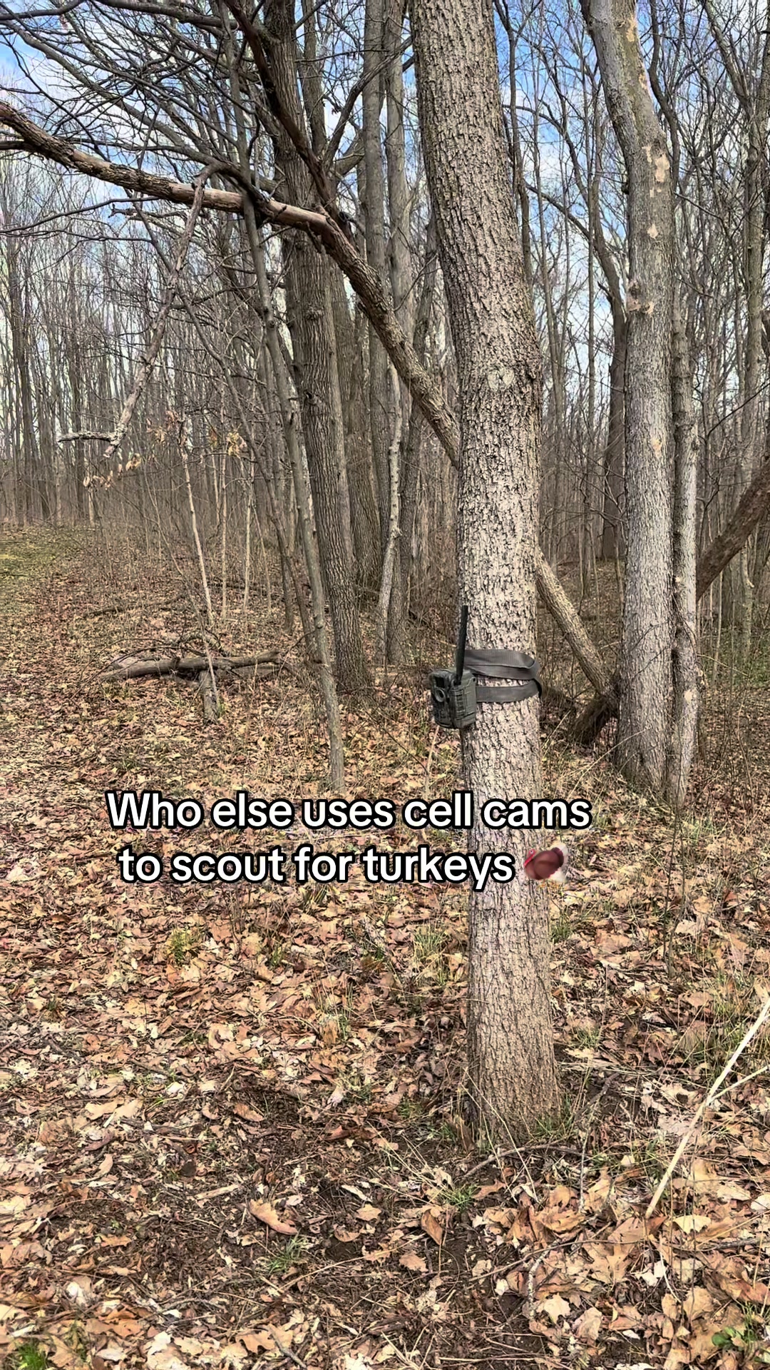 @TheHuntingJunkie