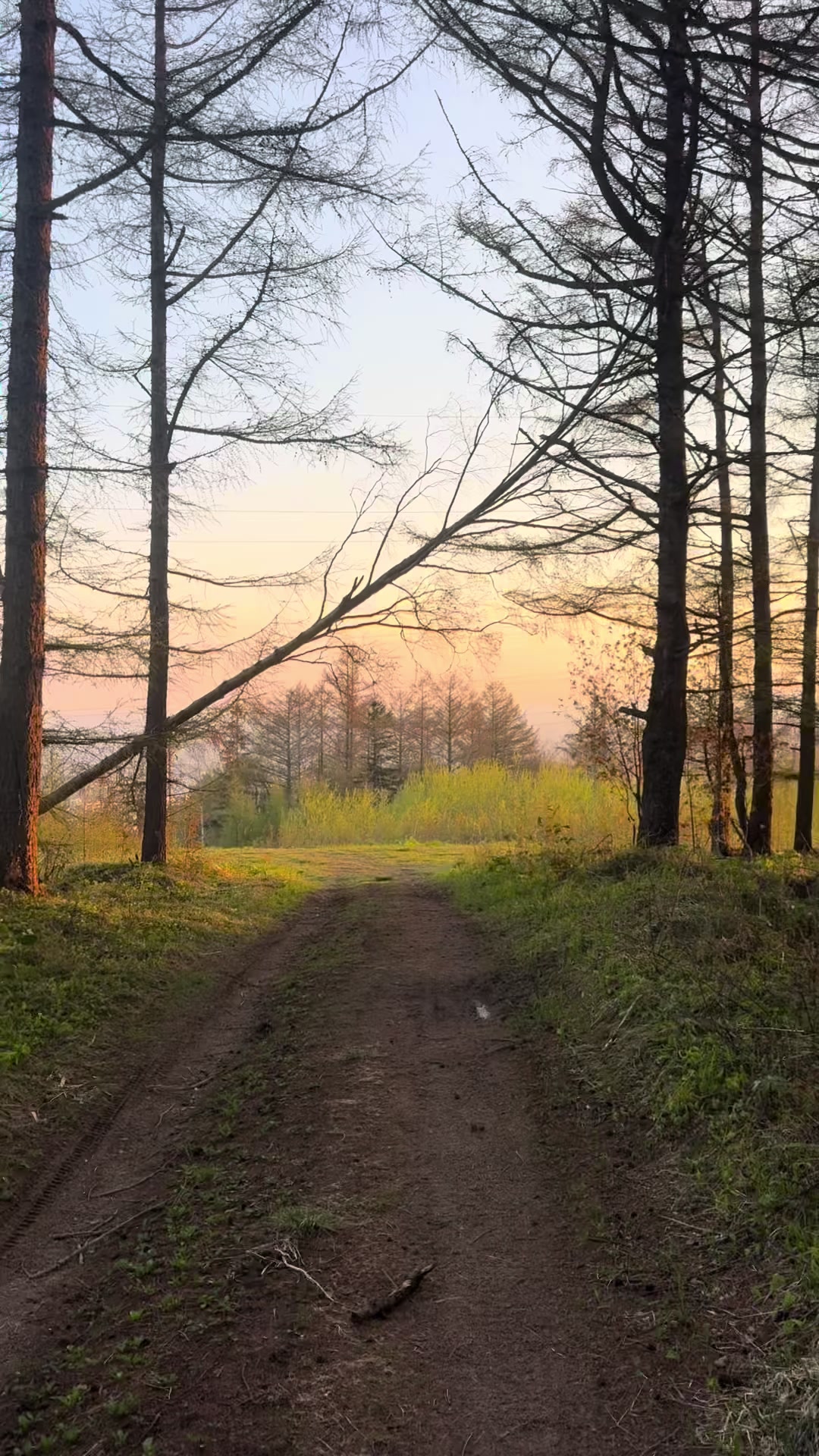 @Мэйсон