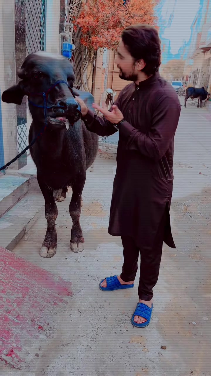 @@2 Bhai 😜😁🤭