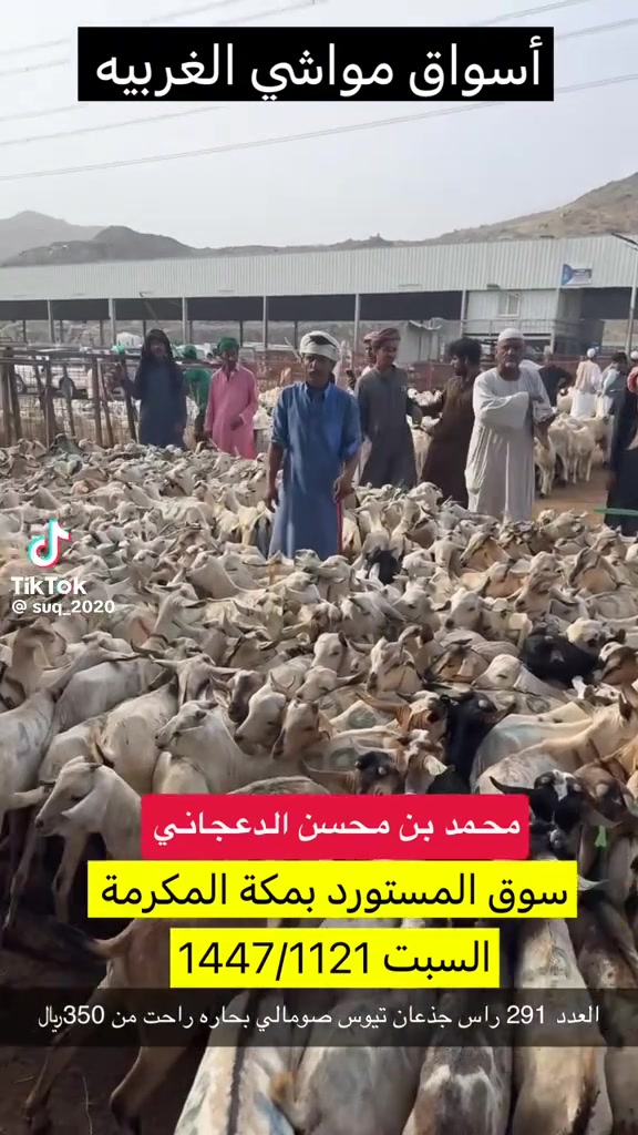 @mohamed_ksa0