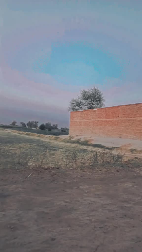 @M Shahbaz