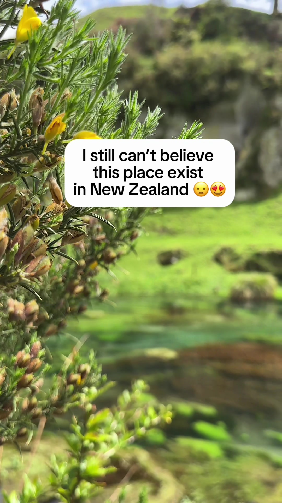 @Pinoy Traveller in New Zealand