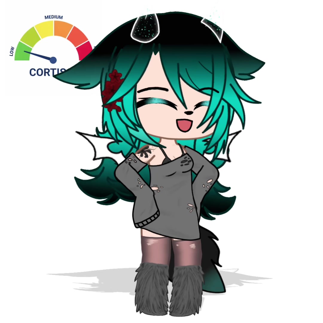 @wolfi