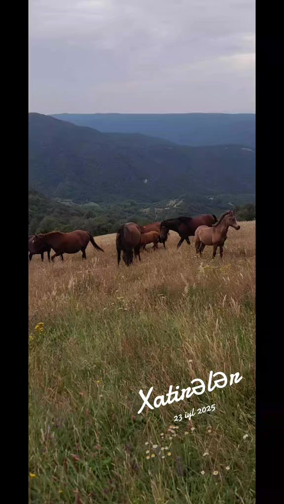 @მე მიყვარს თ