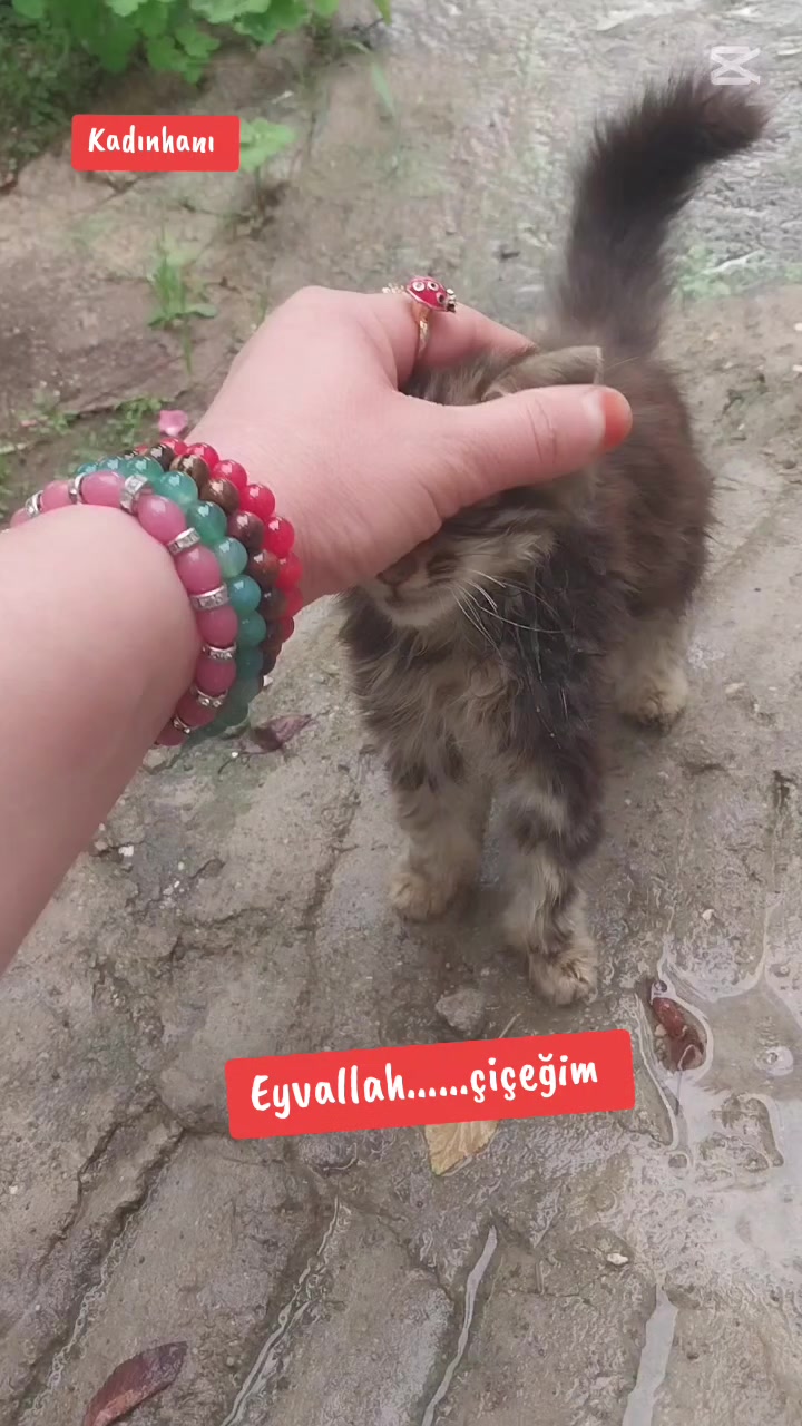 @🌹🌹ELA GÖZLÜ 🌹🌹