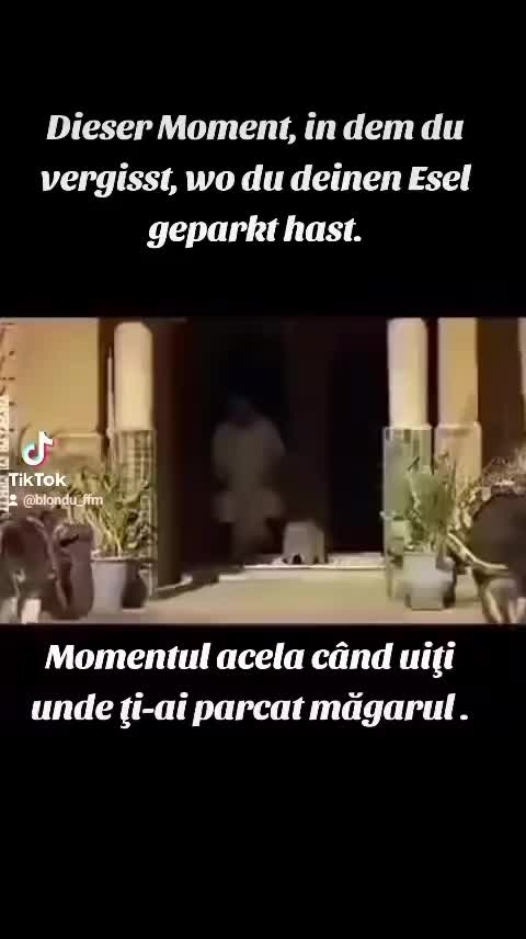 @Blondu 87 și atât