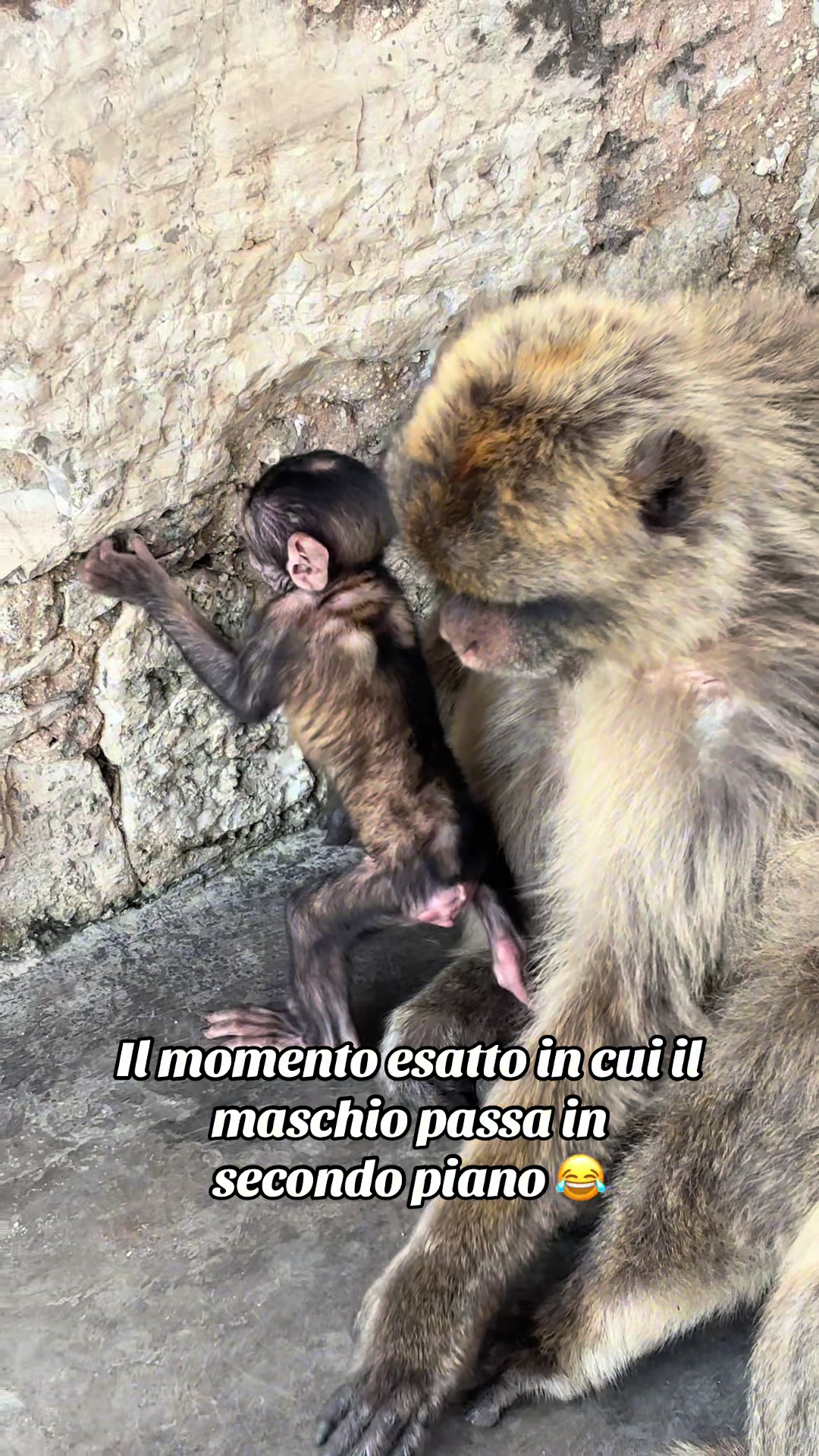 @Baby 🦋