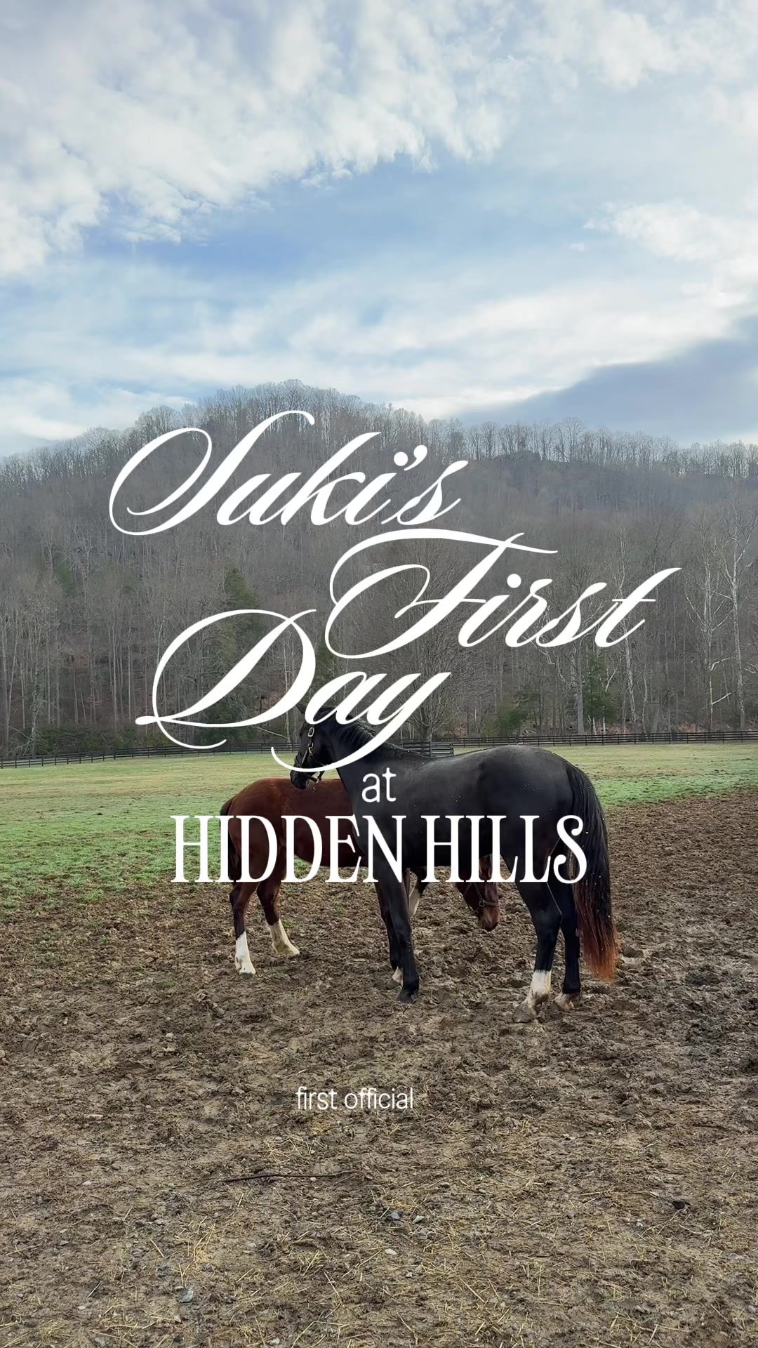 @hiddenhillsequestrian