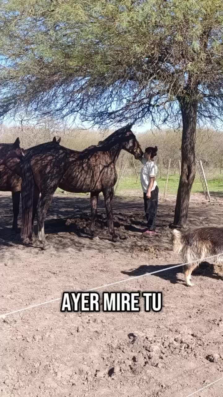 @MARIII V_ M