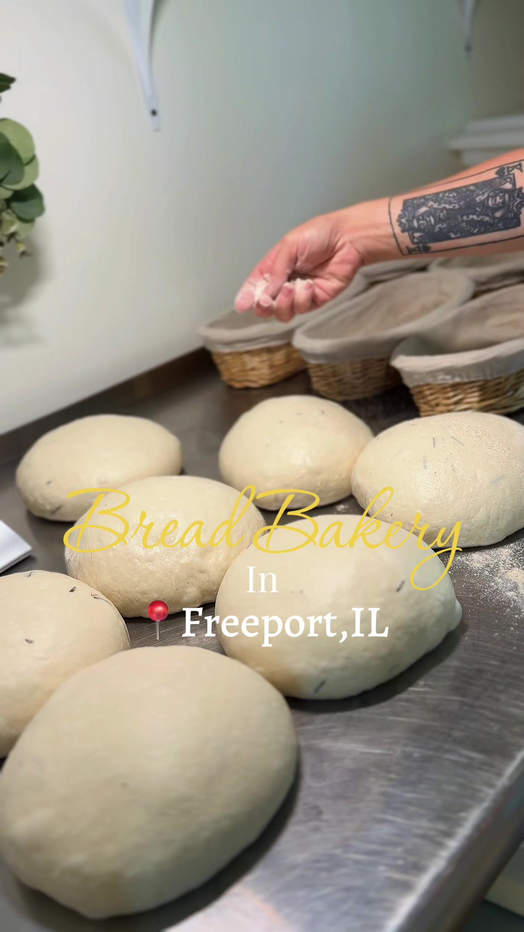 @alimakesbread