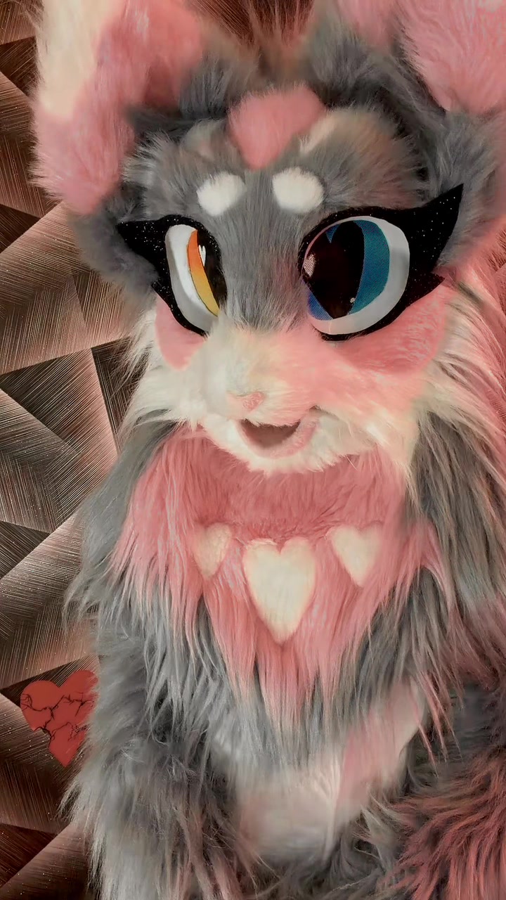 @🌷❀。˚⋆𝒀𝒖𝒏𝒊𝒕𝒕𝒚⋆˚。❀🌷