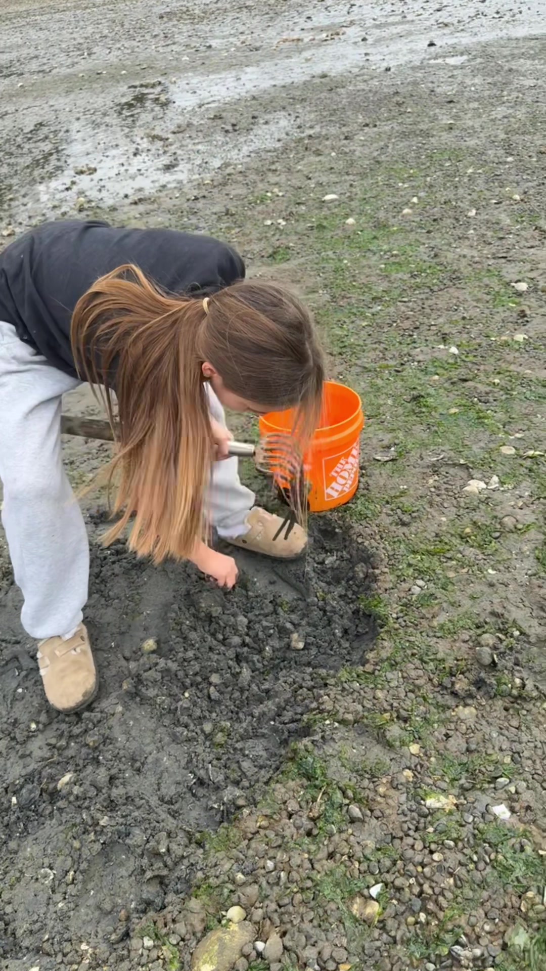 @ShalleeLace