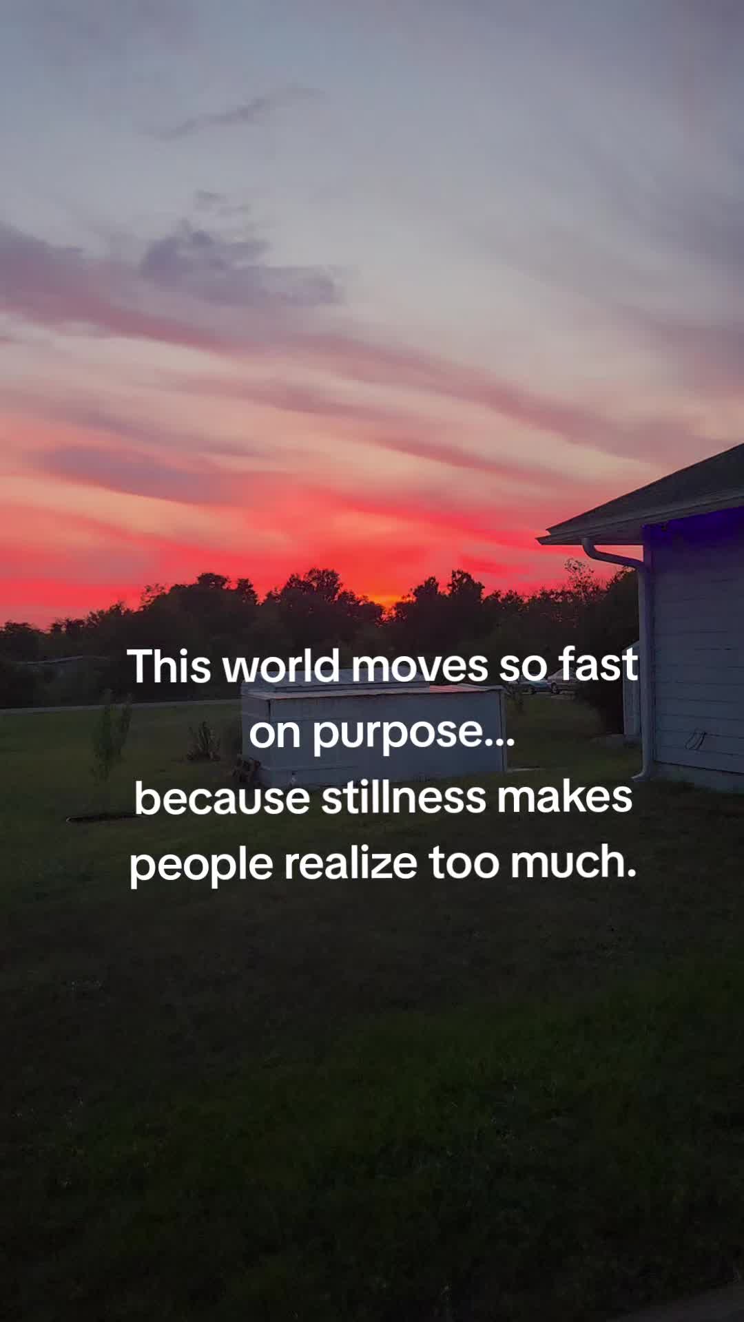 @✨️From Loss to Love Life✨️