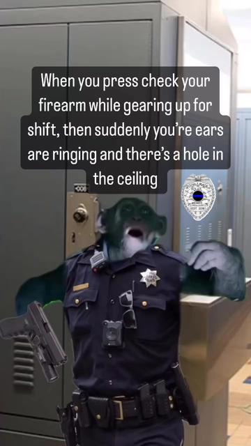 @The Meme Precinct