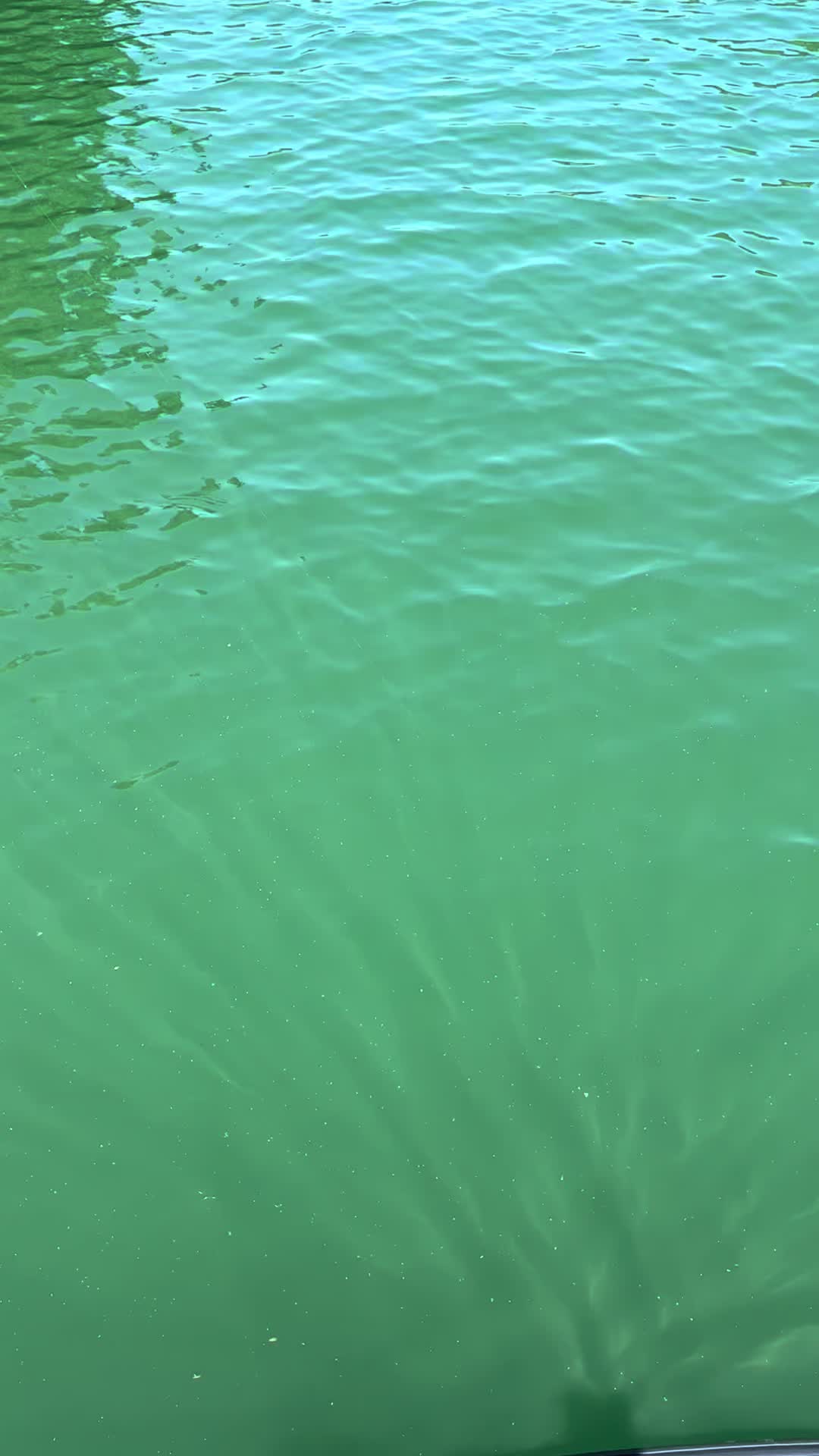 @bassnboards
