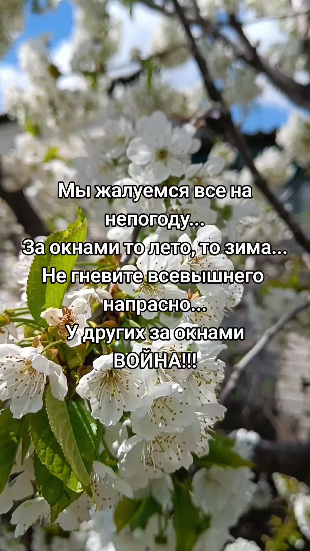 @yanozka