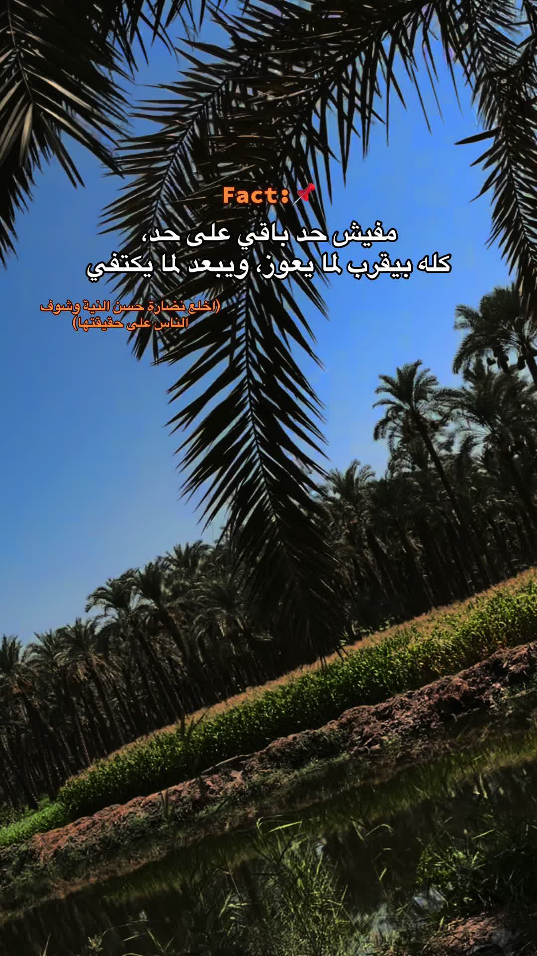 @sayed max38✌️