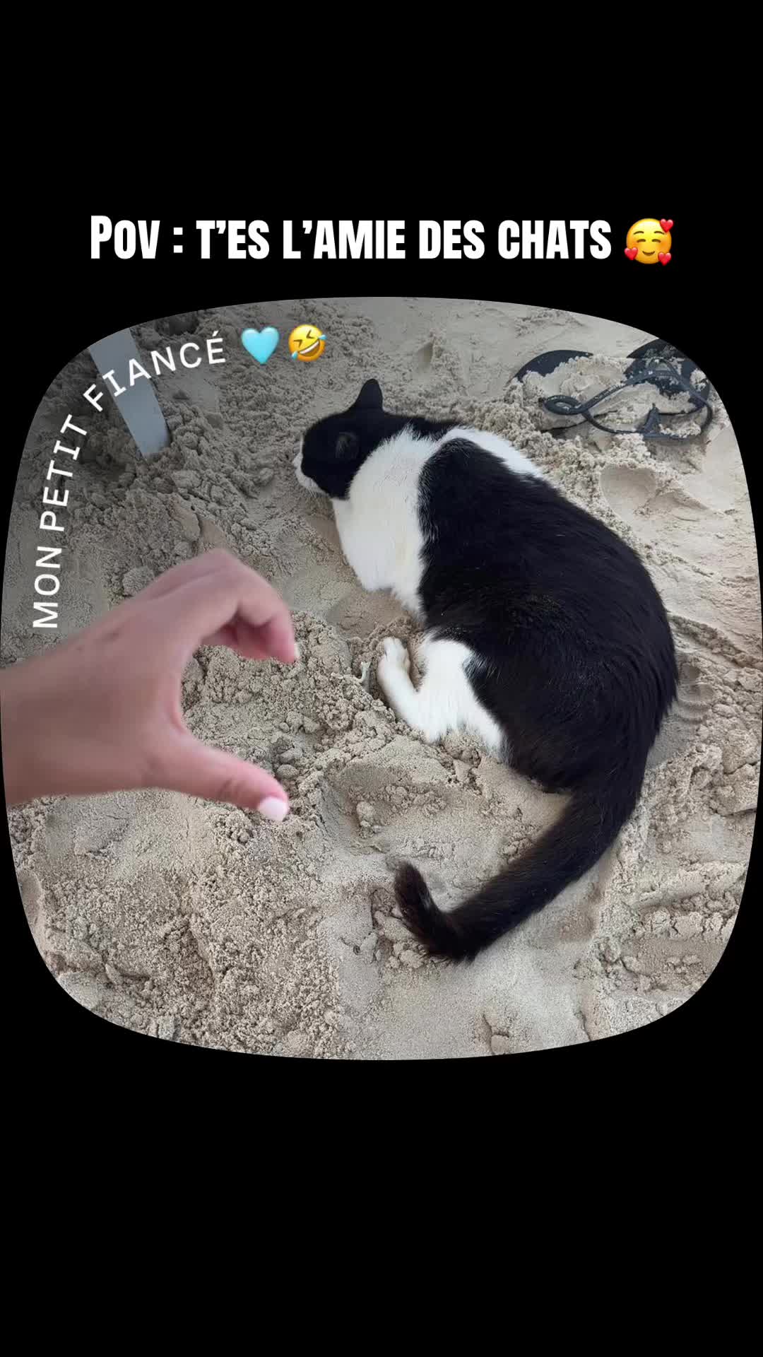 @Chachel