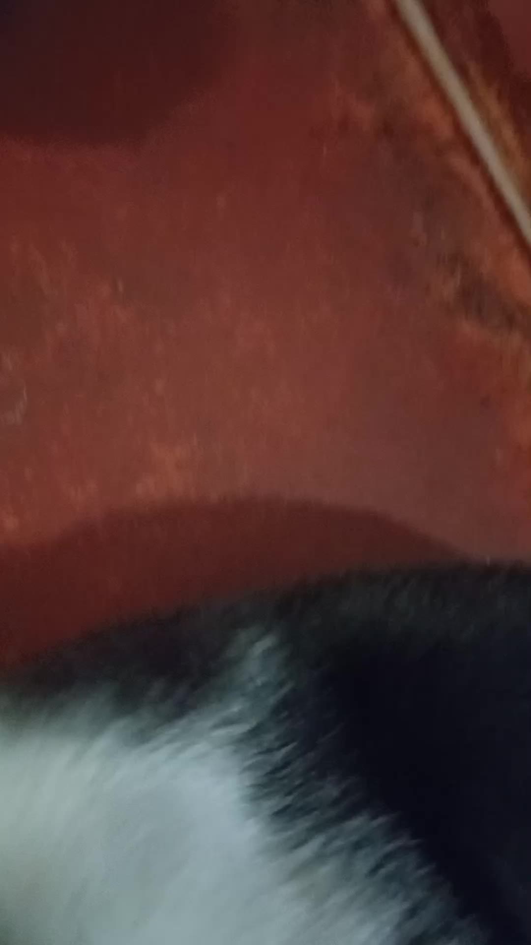 @eemanuè🤪