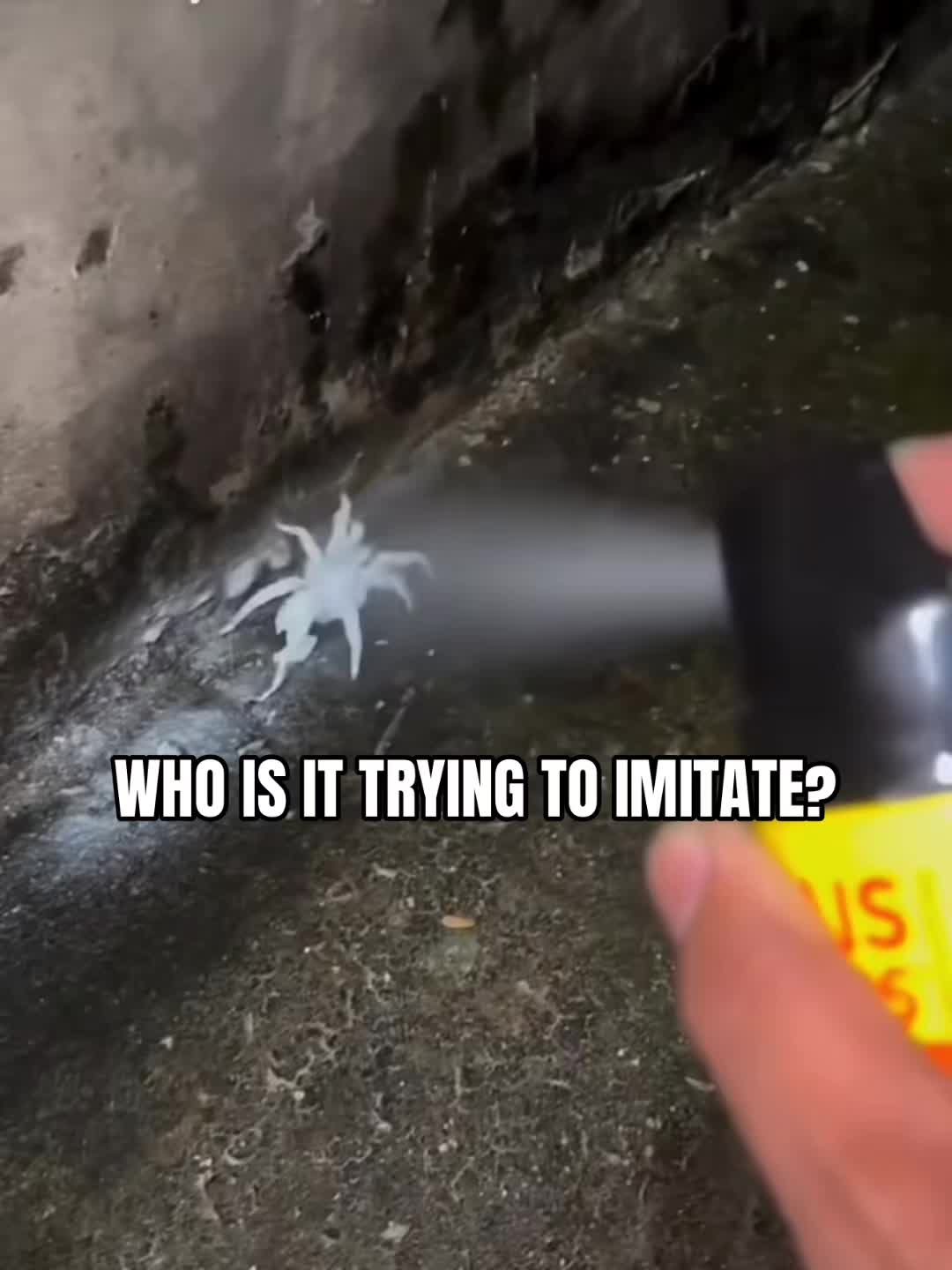 @oh